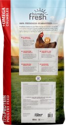 Kent / Blue Seal Home Fresh Extra Egg Layer Omega Crumble Chicken Feed, 50-lb bag slide 2 of 8
