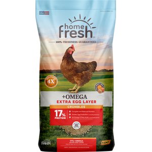 Kent / Blue Seal Home Fresh Extra Egg Layer Omega Crumble Chicken Feed, 50-lb bag