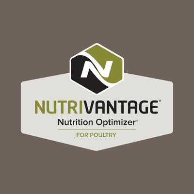 Show full view: Kent / Blue Seal Home Fresh Organic Starter Broiler 23% Protein Crumble Chicken Food, 40-lb bag slide 5 of 9