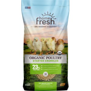 Kent / Blue Seal Home Fresh Organic Starter Broiler 23% Protein Crumble Chicken Food, 40-lb bag