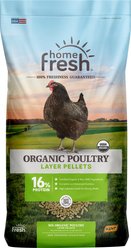 Kent / Blue Seal Home Fresh Organic Chicken 16% Protein Layer Pellet Poultry Food, 40-lb bag