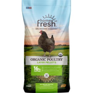Kent / Blue Seal Home Fresh Organic Chicken 16% Protein Layer Pellet Poultry Food, 40-lb bag