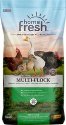 Kent / Blue Seal Home Fresh Multi-Flock Chick N Game Starter Grower 22% Protein Poultry Food, 50-lb bag