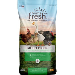 Kent / Blue Seal Home Fresh Multi-Flock Chick N Game Starter Grower 22% Protein Poultry Food, 50-lb bag