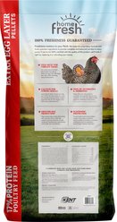 Kent / Blue Seal Home Fresh Extra Egg Layer 17% Protein Pellets Poultry Feed, 50-lb bag slide 2 of 8