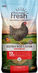 Kent / Blue Seal Home Fresh Extra Egg Layer 17% Protein Crumbles Chicken Feed, 50-lb bag