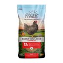 Kent / Blue Seal Home Fresh Extra Egg Layer 17% Protein Crumbles Chicken Feed, 50-lb bag