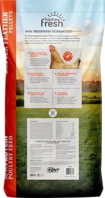 Show full view: Kent / Blue Seal Home Fresh Better Feather 18% Protein Poultry Food, 40-lb bag slide 3 of 9