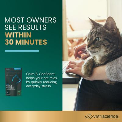 Show full view: VetriScience Composure Trout Flavored Soft Chews Calming Supplement for Cats, 30 count slide 4 of 11