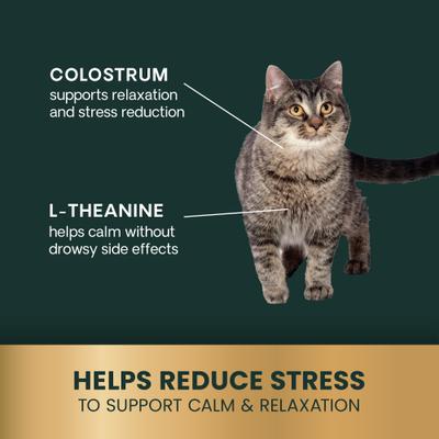 Show full view: VetriScience Composure Trout & Chicken Flavored Soft Chew Calming Supplement for Cats, 30 count slide 6 of 11