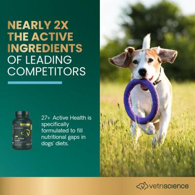Show full view: VetriScience Canine Plus Duck Flavored Chewable Tablets Multivitamin for Dogs, 90 count slide 4 of 11
