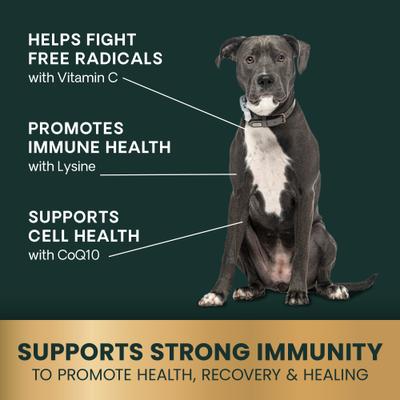 Show full view: VetriScience Immune Plus Immunity Support for Small Dogs, 60 count slide 6 of 11