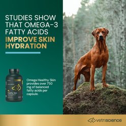 VetriScience Omega 3, 6, 9 Softgels Supplement for Cats & Dogs, 90 count slide 2 of 8