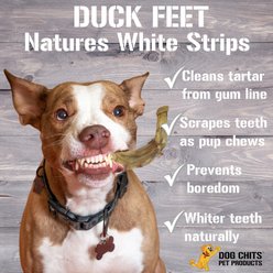 Dog Chits Nails Removed Duck Feet Dog Natural Chew Treats, 28 count slide 2 of 8