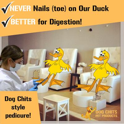 Show full view: Dog Chits Nails Removed Duck Feet Dog Natural Chew Treats, 28 count slide 4 of 9