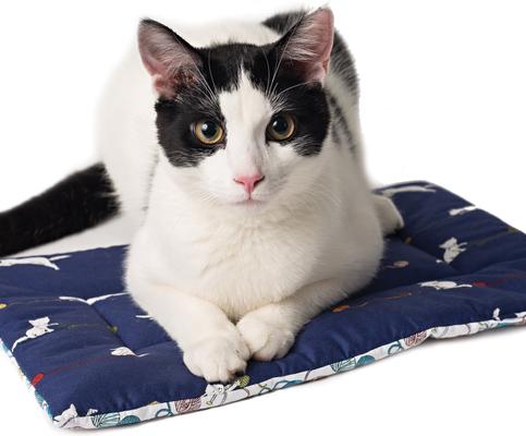 Show full view: Crochet Kitty Catnip Yoga Mat Cat Mat slide 4 of 4