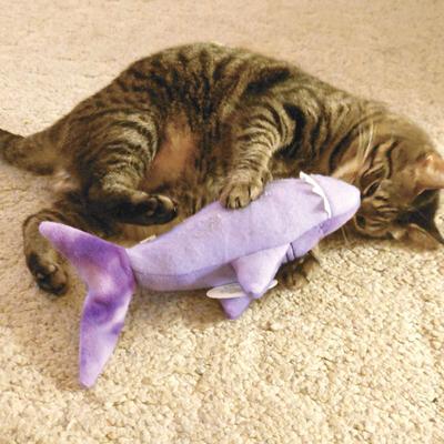 Show full view: Crochet Kitty Phat Cat's Kickin' Shark Plush Cat Toy slide 3 of 3