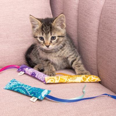 Show full view: Crochet Kitty Crinkle Sticks Cat Toys, 3 count slide 3 of 3