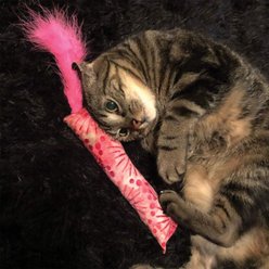 Crochet Kitty Kickin' Sticks Plush Cat Toys, 2 count slide 2 of 3