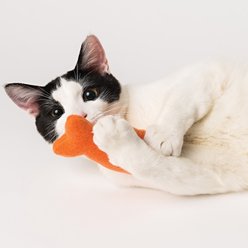 Crochet Kitty Tropical Catnip Fish Plush Cat Toys, 3 count slide 2 of 3