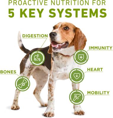 Show full view: Purina ONE Whole Body Support Chicken Dry Dog Food, 16.5-lb. bag slide 5 of 9