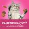 Show in main carousel: Friskies Party Mix Californa Crunch with Chicken Crunchy Cat Treats, 30-oz canister slide 4 of 10