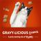 Show in main carousel: Friskies Party Mix Gravy-licious Crunch Chicken & Gravy Flavors Crunchy Cat Treats, 30-oz canister slide 4 of 10