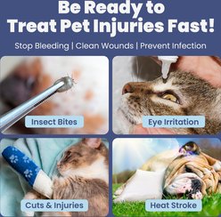 Rubyloo Compact Vet-Reviewed Travel Emergency First Aid Kit for Dogs & Cats slide 2 of 7