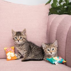 Crochet Kitty Purrtato Chip Plush Cat Toys, 2 count slide 2 of 3