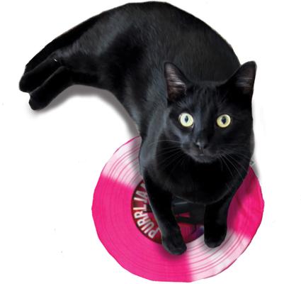 Show full view: Crochet Kitty Purrl Jam Record Cat Mat with Crinkle & Catnip slide 3 of 3