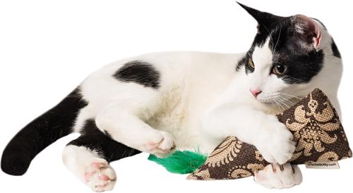 Show full view: Crochet Kitty Burlap Kickin' Stick Plush Cat Toy, Color Varies slide 3 of 3