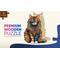 Show in main carousel: Nestologi Maine Coon Cat 150-Piece Wooden Jigsaw Puzzle, 150 Pieces, 11.7 x 16.5-in slide 4 of 9