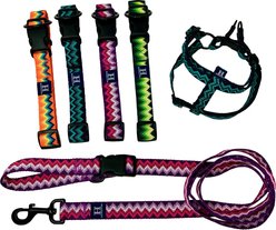 Hamilton Nylon Weave Standard Dog Collar, Green, Medium/Large: 18 to 26-in neck, 1-in wide slide 2 of 6