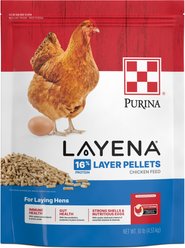 Purina Layena 16% Protein Pellets Chicken Feed, 10-lb bag