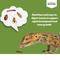 Show in main carousel: Fluker's 2 Week Adult Aquatic Turtles Meal Plan, bundle slide 6 of 6