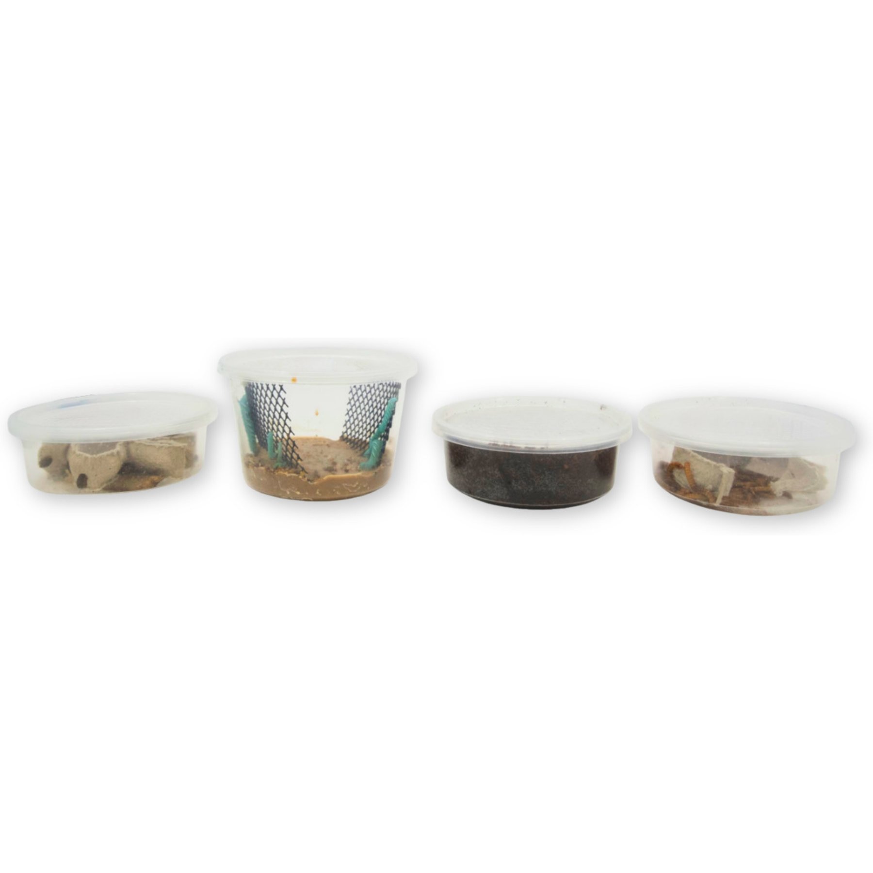 Fluker's 2 Week Baby Aquatic Turtles Meal Plan, bundle