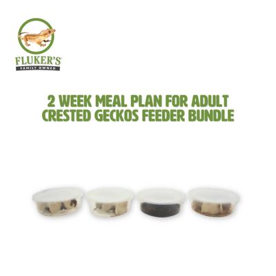 Show full view: Fluker's 2 Week Adult Crested Geckos Meal Plan, bundle slide 2 of 6
