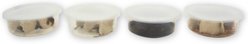 Fluker's 2 Week Adult Crested Geckos Meal Plan, bundle