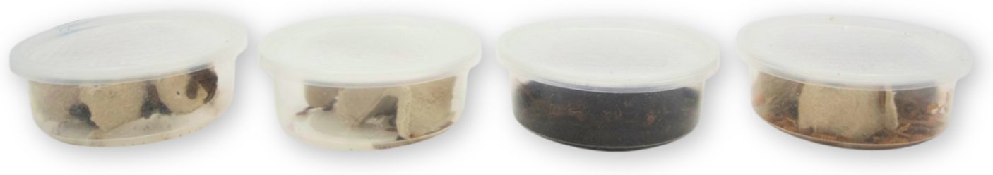 Fluker's 2 Week Adult Crested Geckos Meal Plan, bundle