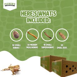Fluker's 2 Week Juvenile Crested Geckos Meal Plan, bundle slide 2 of 6