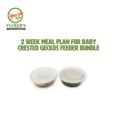 Show full view: Fluker's 2 Week Baby Crested Geckos Meal Plan, bundle slide 2 of 6