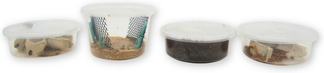 Fluker's 2 Week Adult Leopard Geckos Meal Plan, bundle