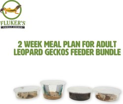 Fluker's 2 Week Adult Leopard Geckos Meal Plan, bundle slide 2 of 6