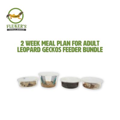 Show full view: Fluker's 2 Week Adult Leopard Geckos Meal Plan, bundle slide 2 of 6