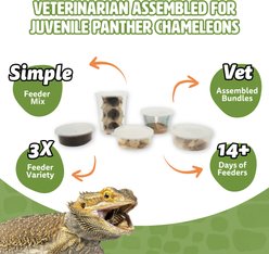 Fluker's 2 Week Juvenile Panther Chameleons Meal Plan, bundle slide 2 of 6