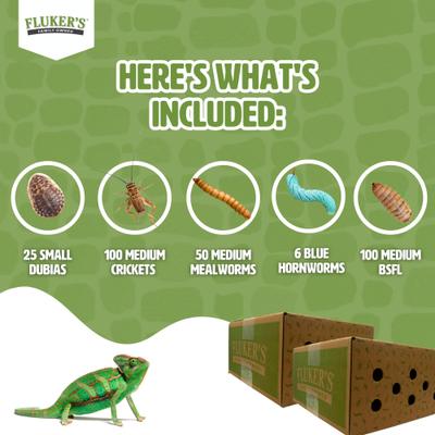 Show full view: Fluker's 2 Week Juvenile Chameleons Meal Plan, bundle slide 4 of 6