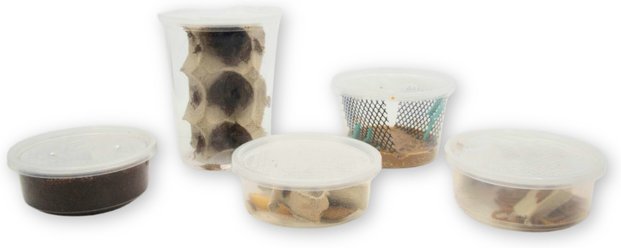 Fluker's 2 Week Juvenile Chameleons Meal Plan, bundle