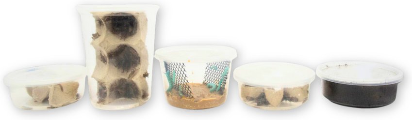 Fluker's 2 Week Subadult Bearded Dragons & Lizard Meal Plan, bundle