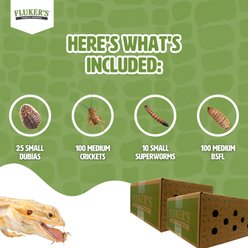 Fluker's 2 Week Juvenile Bearded Dragons & Lizard Meal Plan, bundle slide 2 of 6