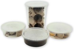 Fluker's 2 Week Juvenile Bearded Dragons & Lizard Meal Plan, bundle